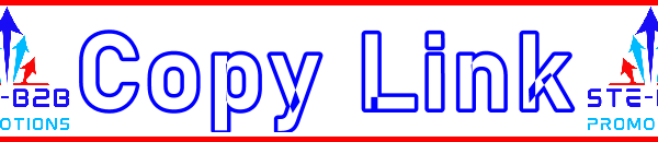 Ste-B2B Webmaster Copy Link Secrets Visitor Information Support Banner Image Red White Blue EDITed