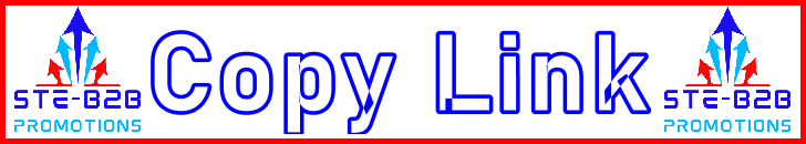 Ste-B2B Webmaster Copy Link Secrets Visitor Information Support Banner Image Red White Blue EDITed