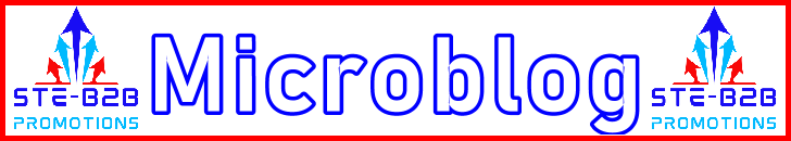 Ste-B2B Webmaster Microblog Secrets Visitor Information Support Banner Image Red White Blue EDITed