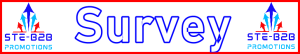 Ste-B2B Webmaster Survey Secrets Visitor Information Support Banner Image Red White Blue EDITed