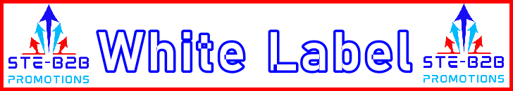 Ste-B2B Webmaster White Label Secrets Visitor Information Support Banner Image Red White Blue EDITed