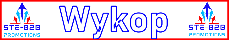 Ste-B2B Webmaster Wykop Secrets Visitor Information Support Banner Image Red White Blue EDITed