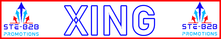 Ste-B2B Webmaster XING Secrets Visitor Information Support Banner Image Red White Blue EDITed