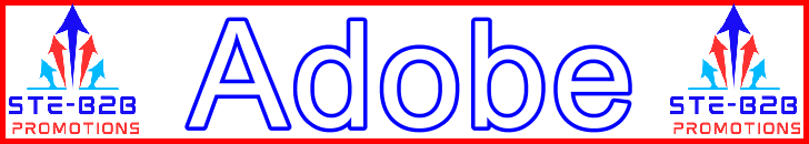 Ste-B2B Webmaster Adobe Apps Secrets - Visitor Navigation Information Support Banner Image Red White Blue