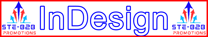 Ste-B2B Webmaster Adobe InDesign Secrets - Visitor Navigation Information Support Banner Image Red White Blue