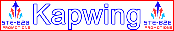 Ste-B2B Webmaster Adobe Kapwing Secrets - Visitor Navigation Information Support Banner Image Red White Blue