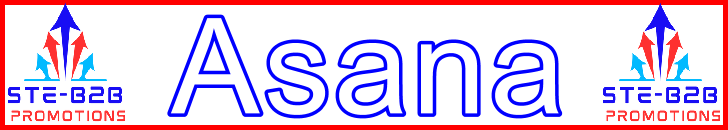 Ste-B2B Webmaster Asana Secrets - Visitor Navigation Information Support Banner Image Red White Blue