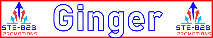 Ste-B2B Webmaster Ginger Secrets - Visitor Navigation Information Support Banner Image Red White Blue