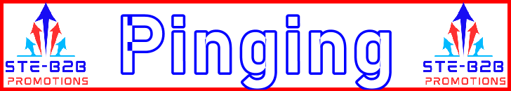 Ste-B2B Webmaster Pinging Secrets - Visitor Navigation Information Support Banner Image Red White Blue