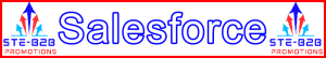 Ste-B2B Webmaster Salesforce Secrets - Visitor Navigation Information Support Banner Image Red White Blue