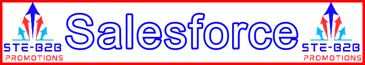 Ste-B2B Webmaster Salesforce Secrets - Visitor Navigation Information Support Banner Image Red White Blue