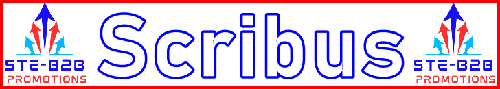 Ste-B2B Webmaster Scribus Secrets - Visitor Navigation Information Support Banner Image Red White Blue