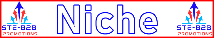 Ste-B2B Webmaster Niche Secrets - Visitor Navigation Information Support Banner Image Red White Blue