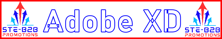 Ste-B2B Adobe XD Secrets Blue Red White